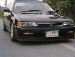 aof-love-honda