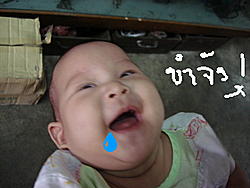 ankkarn