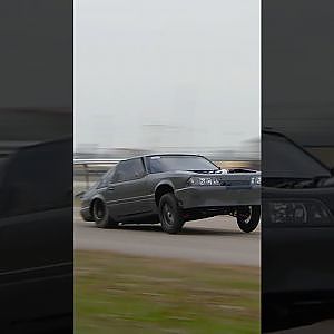Most Squat we've ever seen? That's A LOT #1320video